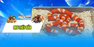 Mơ Thấy Rắn - Giải Mã Chiêm Bao Nhận Code 100K Tại MU88