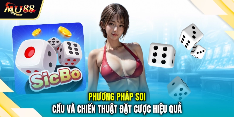 Phương pháp soi cầu và chiến thuật đặt cược hiệu quả