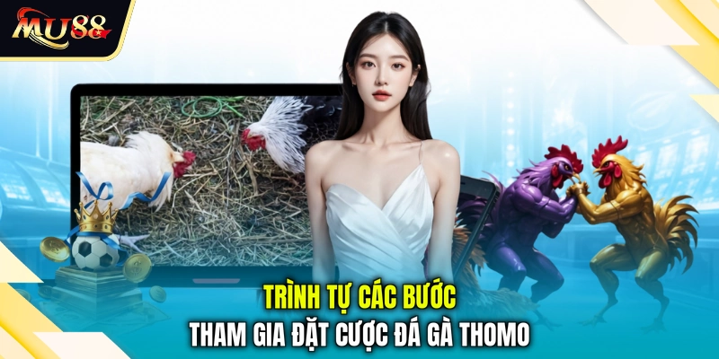 Trình tự các bước tham gia đặt cược đá gà Thomo